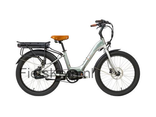 EVELO Galaxy 500 specificaties